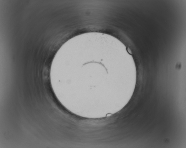 X0000115760025200912241738