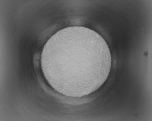 X0000115760026200912241738