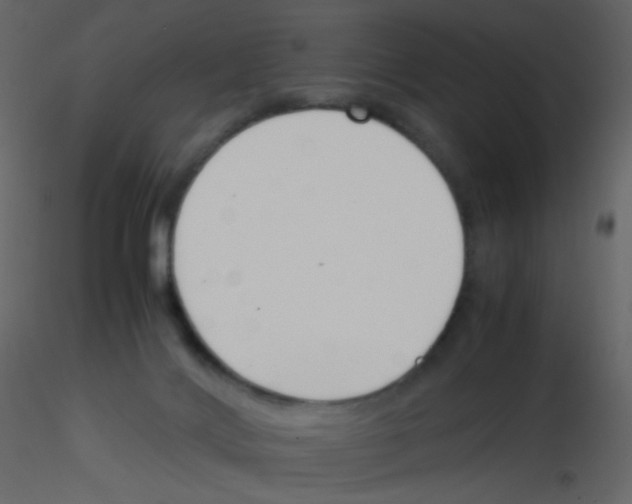 X0000115760028200912241738