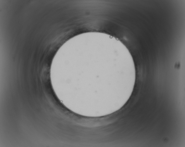 X0000115760029200912241738