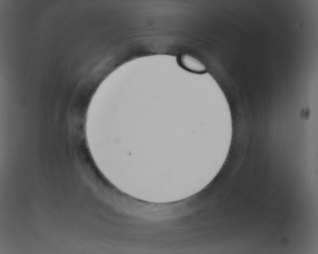 X0000115760031200912241738