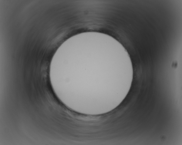 X0000115760032200912241738
