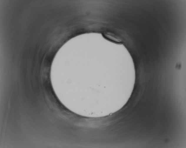 X0000115760033200912241738