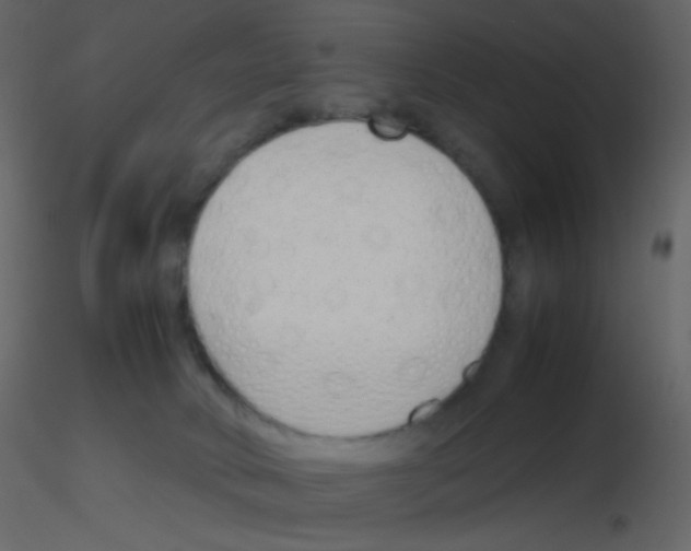 X0000115760034200912241738