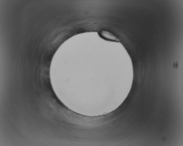 X0000115760035200912241738