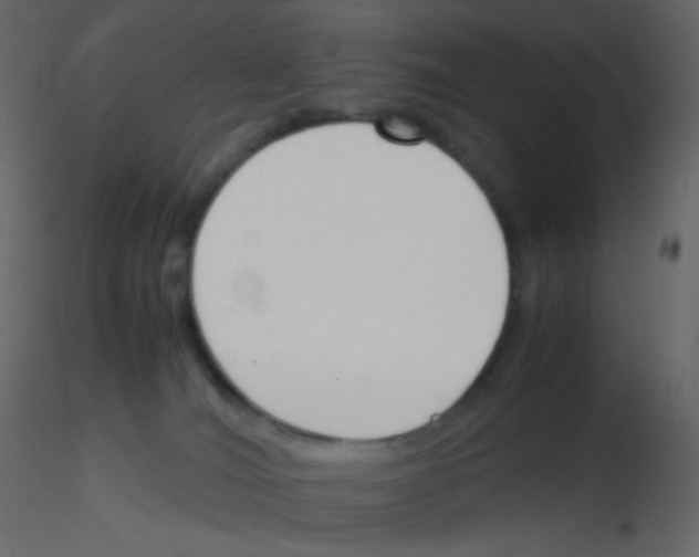 X0000115760036200912241738