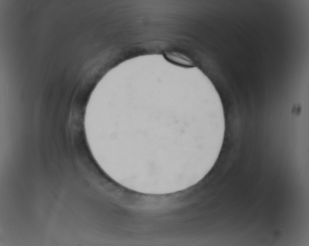 X0000115760037200912241738