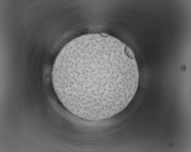 X0000115760038200912241738