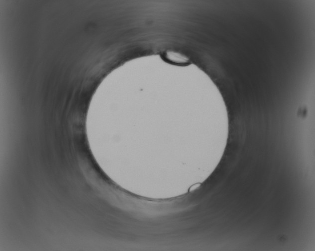 X0000115760039200912241738
