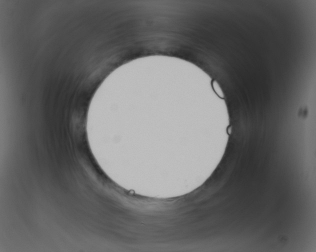 X0000115760040200912241738
