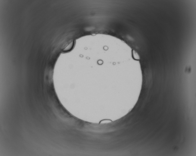 X0000115760041200912241738