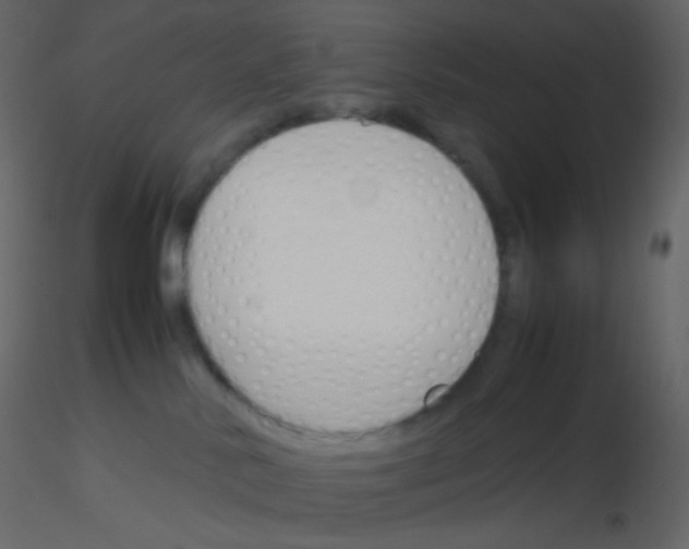 X0000115760042200912241738