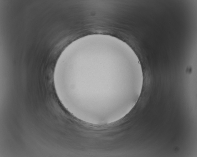 X0000115760043200912241738