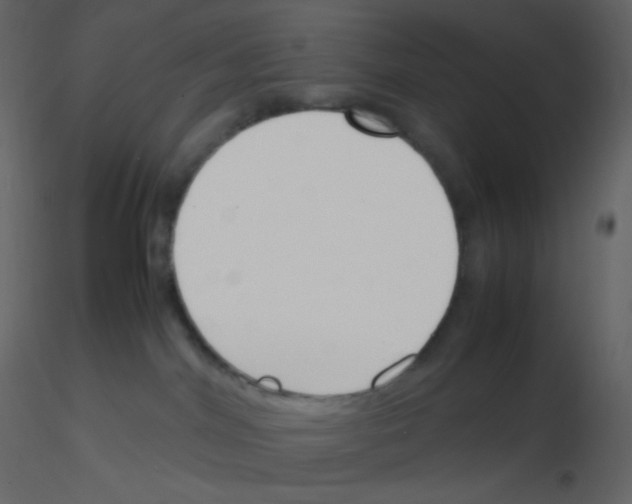 X0000115760044200912241738