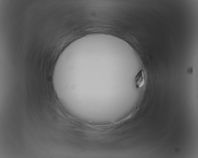 X0000115760045200912241738