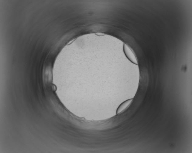 X0000115760046200912241738