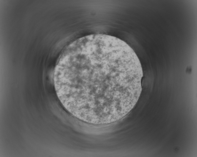 X0000115760047200912241738