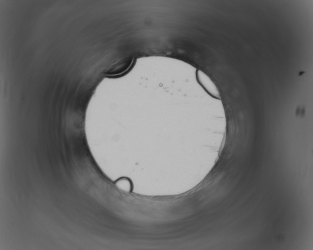X0000115760048200912241738
