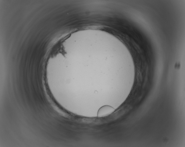 X0000115760049200912241737