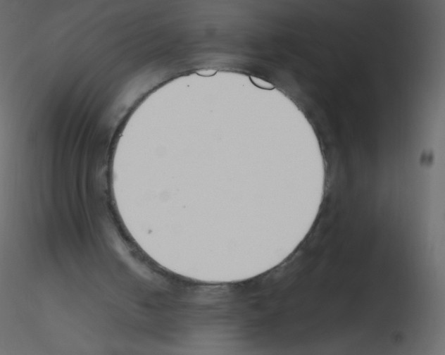 X0000115760050200912241737