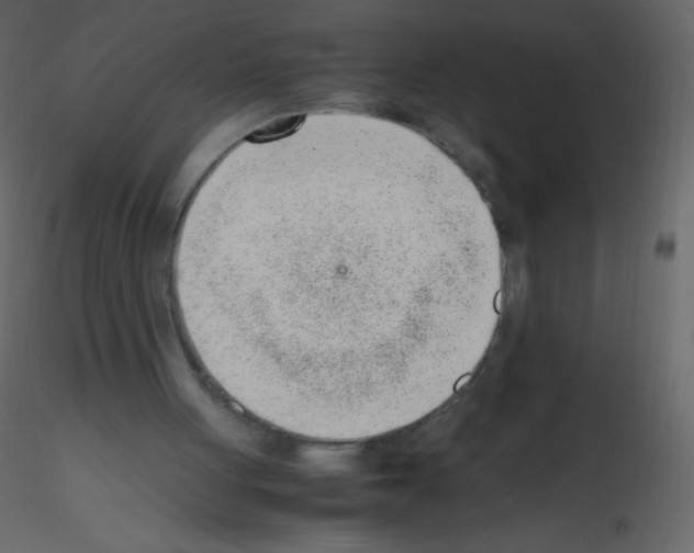 X0000115760051200912241737
