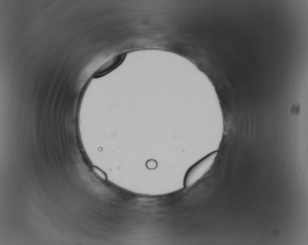 X0000115760052200912241737