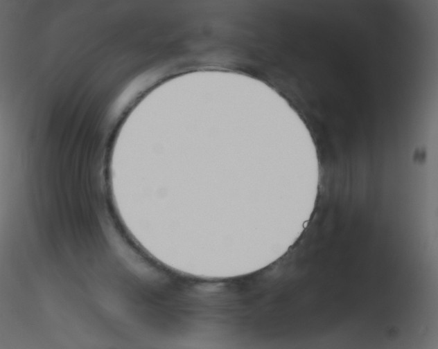 X0000115760054200912241737