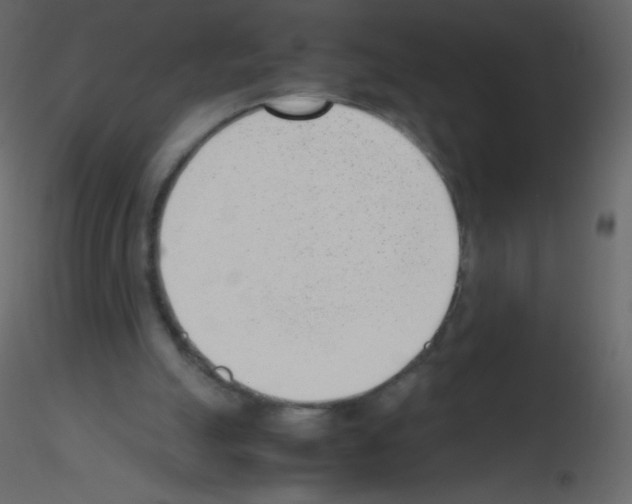 X0000115760055200912241737