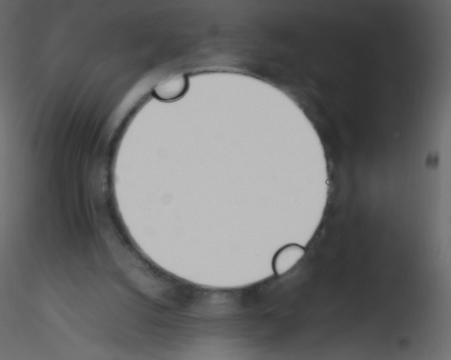 X0000115760056200912241737