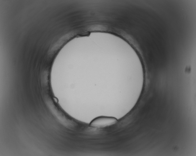 X0000115760057200912241737