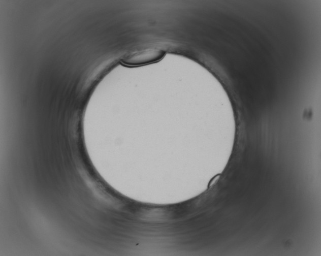X0000115760058200912241737