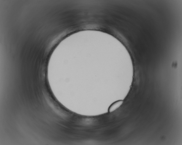 X0000115760059200912241737