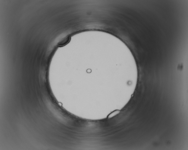 X0000115760060200912241737