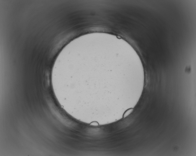X0000115760061200912241737