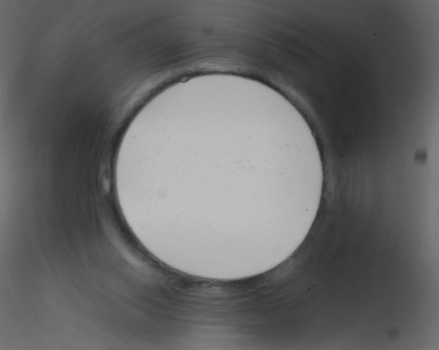 X0000115760062200912241737
