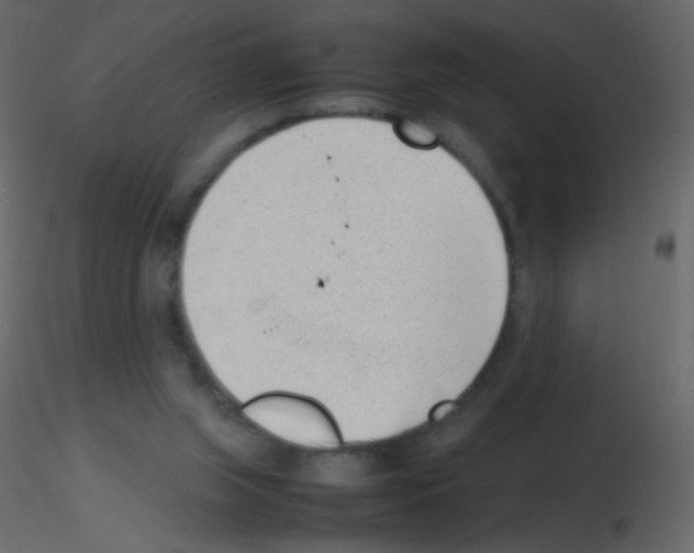 X0000115760063200912241737