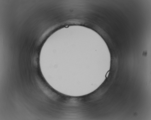 X0000115760064200912241737