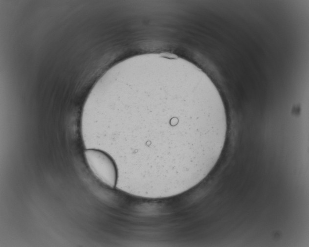 X0000115760065200912241737