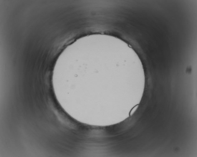 X0000115760066200912241737