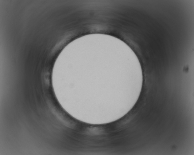 X0000115760067200912241737