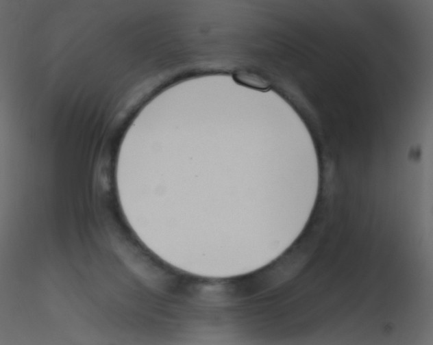 X0000115760068200912241737