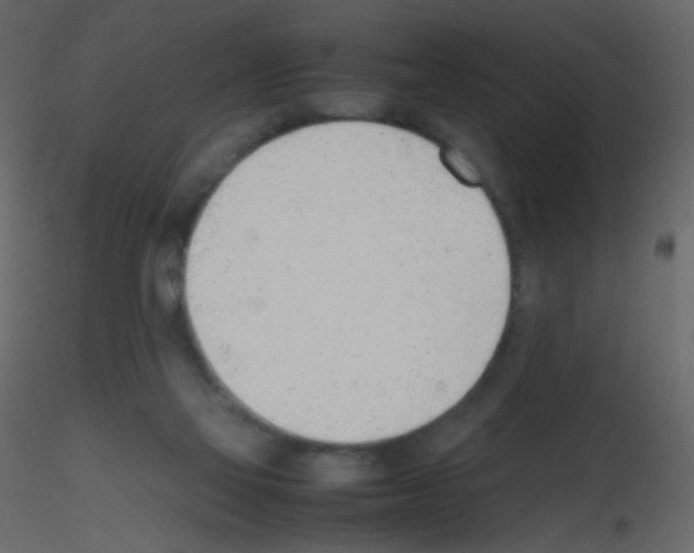 X0000115760069200912241737