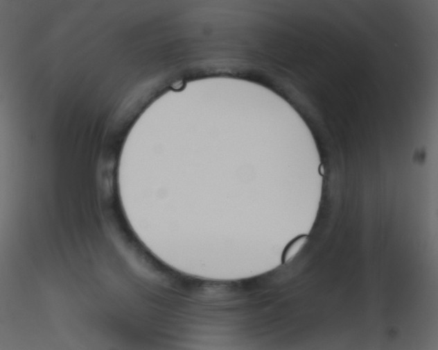 X0000115760070200912241737