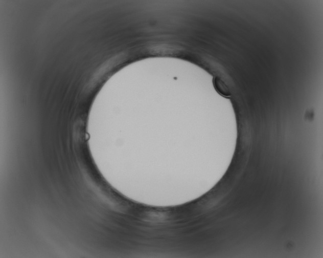 X0000115760071200912241737