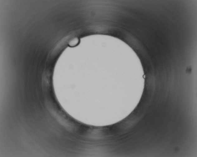 X0000115760072200912241738