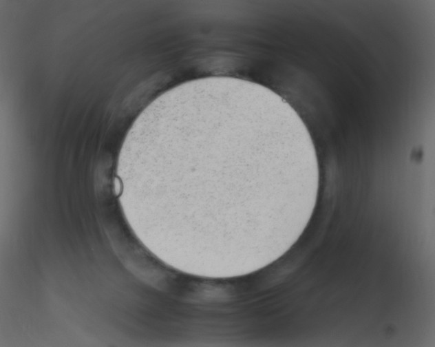 X0000115760073200912241738