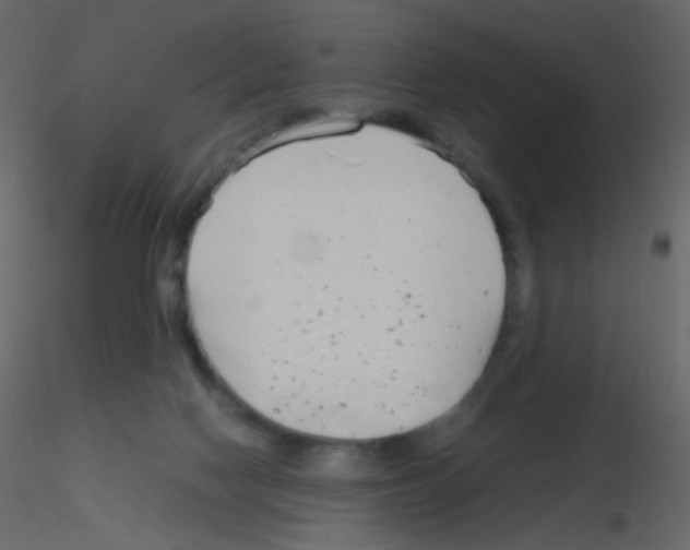 X0000115760074200912241738