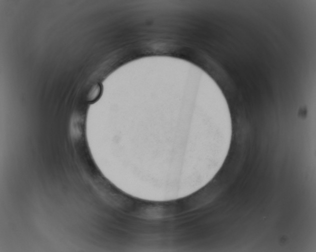 X0000115760075200912241738
