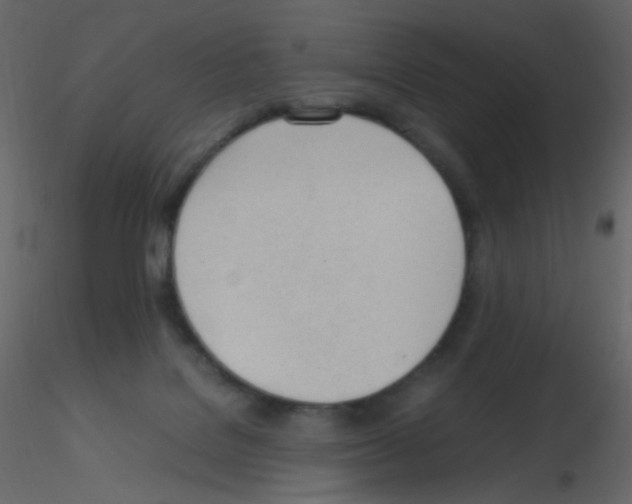 X0000115760076200912241738
