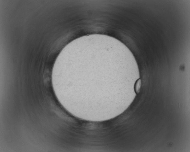 X0000115760077200912241738
